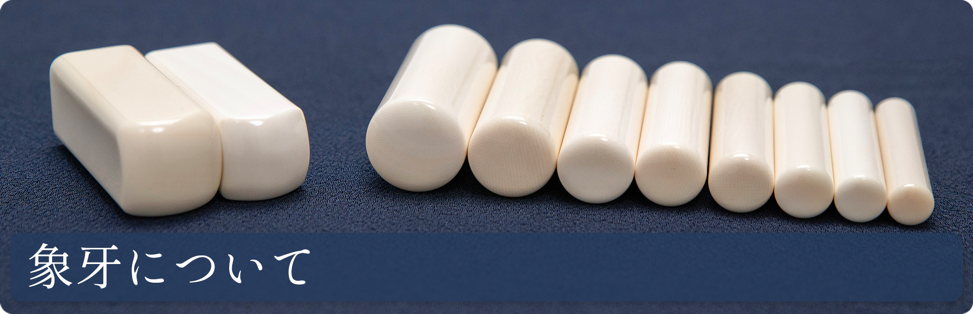象牙について