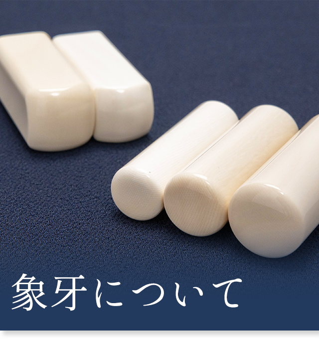 象牙について
