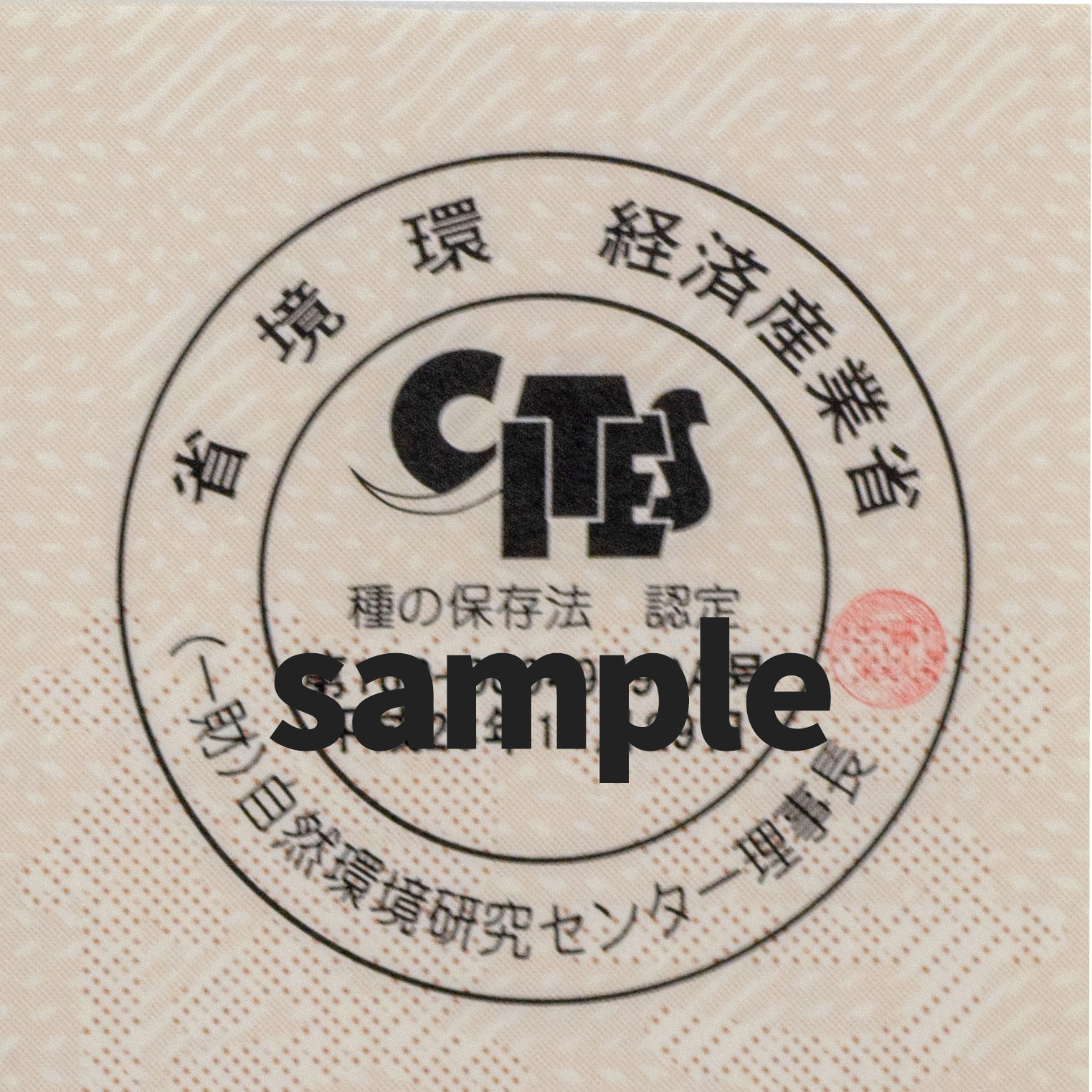 種の保存法認定