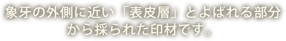 象牙の外側に近い「表皮層」とよばれる部分から採られた印材です。