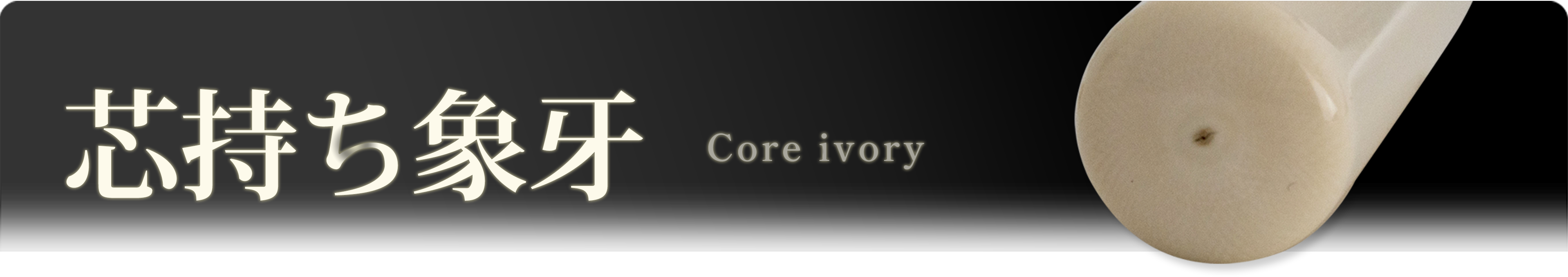 芯持ち象牙　Core ivory