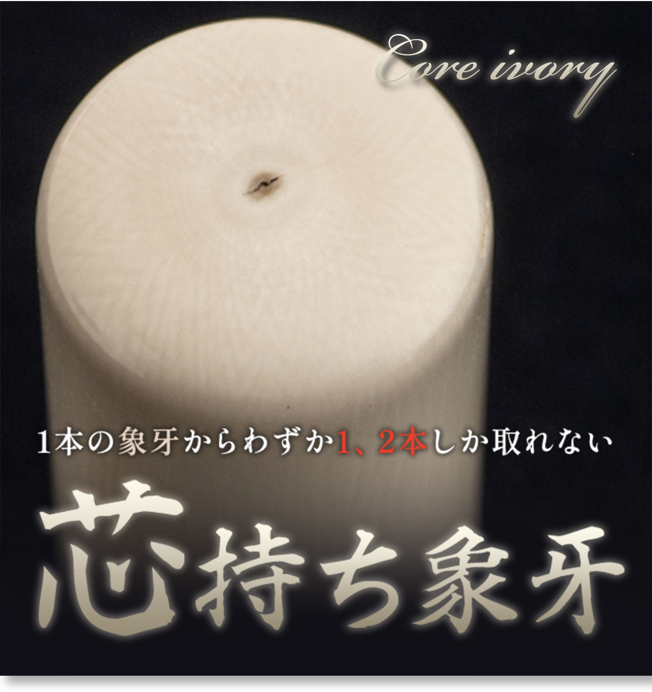 男性の開運象牙印鑑