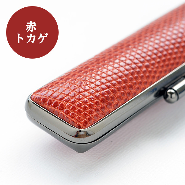 本トカゲケース