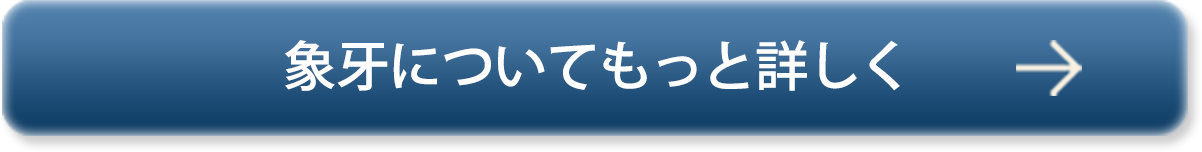 象牙についてもっと詳しく