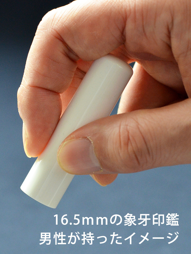 手持ちイメージ