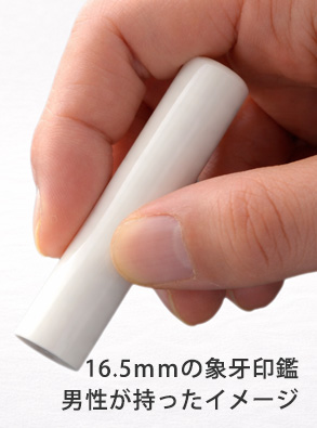 手持ちイメージ