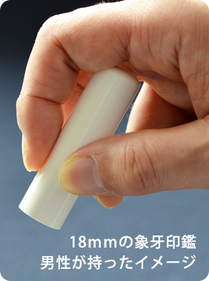 手持ちイメージ