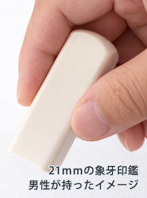 手持ちイメージ