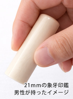 手持ちイメージ