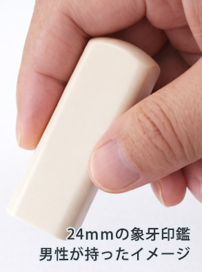 手持ちイメージ