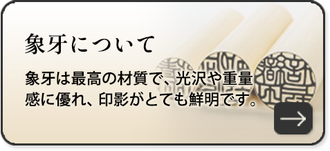 象牙について