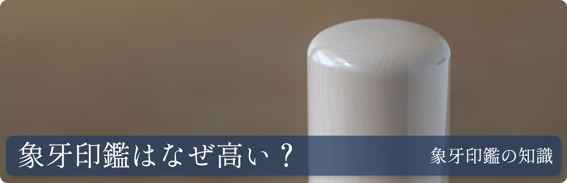 象牙印鑑はなぜ高い？