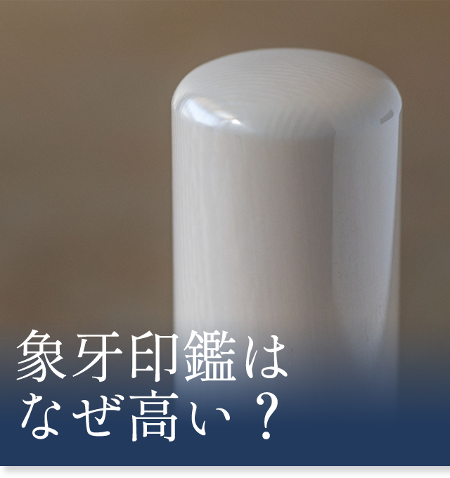 象牙印鑑はなぜ高い？