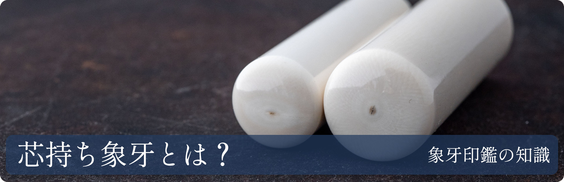 芯持ち象牙とは？